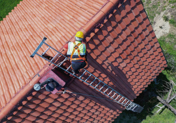 Best Metal Roofing Installation  in Roan Mountain, TN